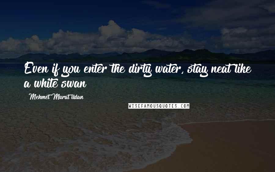Mehmet Murat Ildan Quotes: Even if you enter the dirty water, stay neat like a white swan!