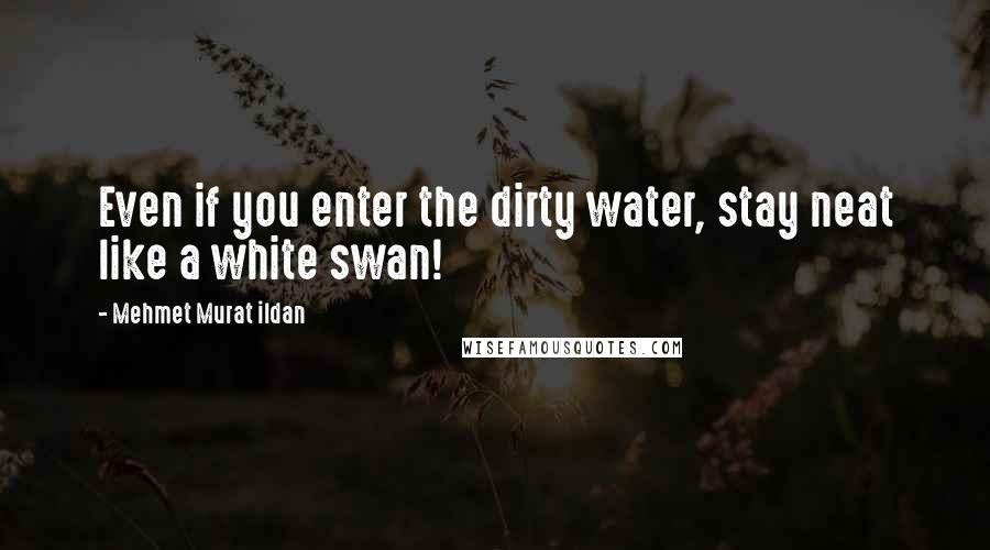 Mehmet Murat Ildan Quotes: Even if you enter the dirty water, stay neat like a white swan!