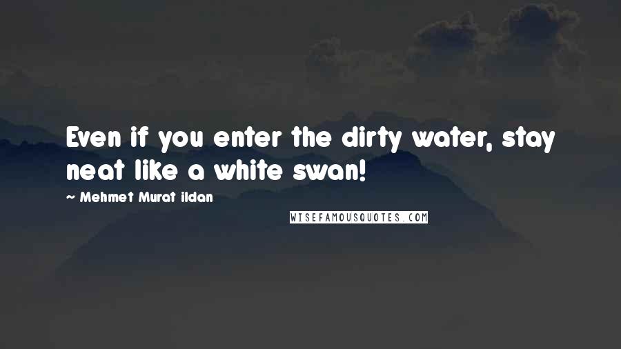 Mehmet Murat Ildan Quotes: Even if you enter the dirty water, stay neat like a white swan!