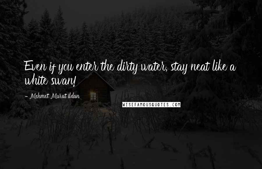 Mehmet Murat Ildan Quotes: Even if you enter the dirty water, stay neat like a white swan!