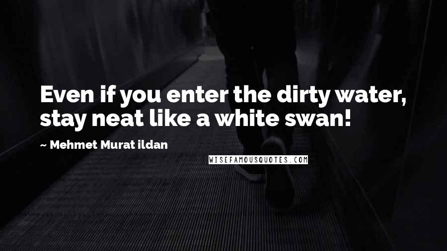 Mehmet Murat Ildan Quotes: Even if you enter the dirty water, stay neat like a white swan!