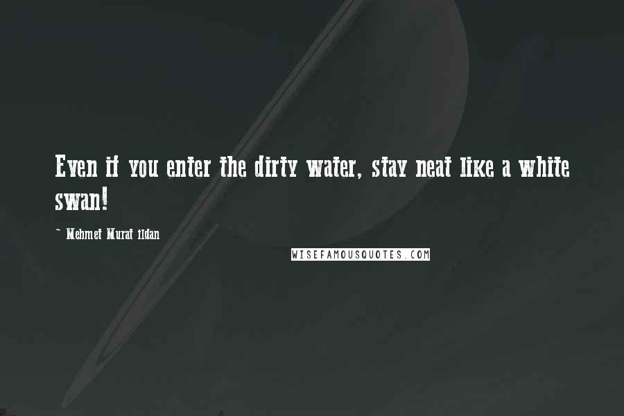 Mehmet Murat Ildan Quotes: Even if you enter the dirty water, stay neat like a white swan!