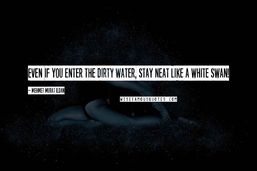 Mehmet Murat Ildan Quotes: Even if you enter the dirty water, stay neat like a white swan!
