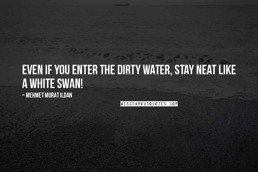 Mehmet Murat Ildan Quotes: Even if you enter the dirty water, stay neat like a white swan!