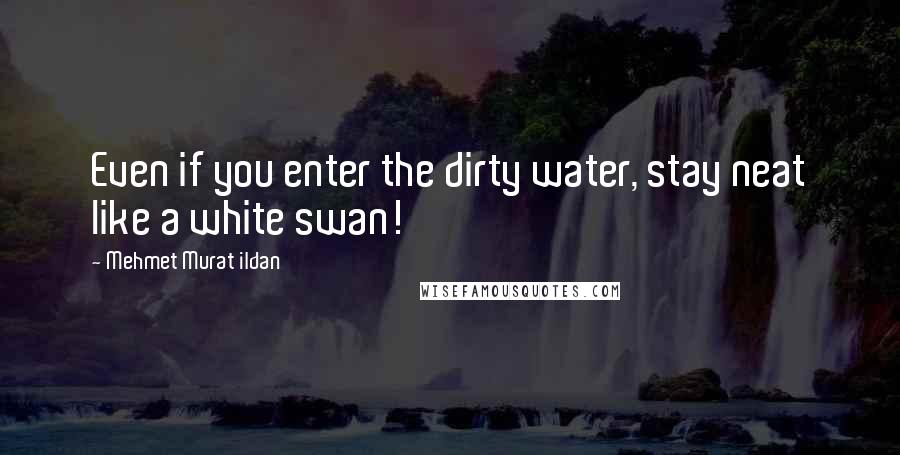 Mehmet Murat Ildan Quotes: Even if you enter the dirty water, stay neat like a white swan!