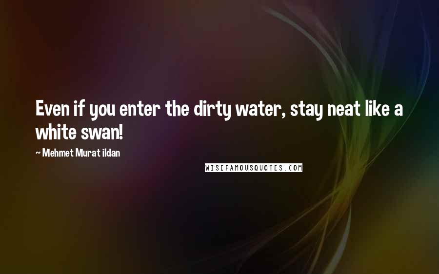 Mehmet Murat Ildan Quotes: Even if you enter the dirty water, stay neat like a white swan!