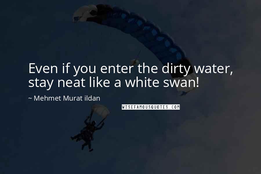 Mehmet Murat Ildan Quotes: Even if you enter the dirty water, stay neat like a white swan!
