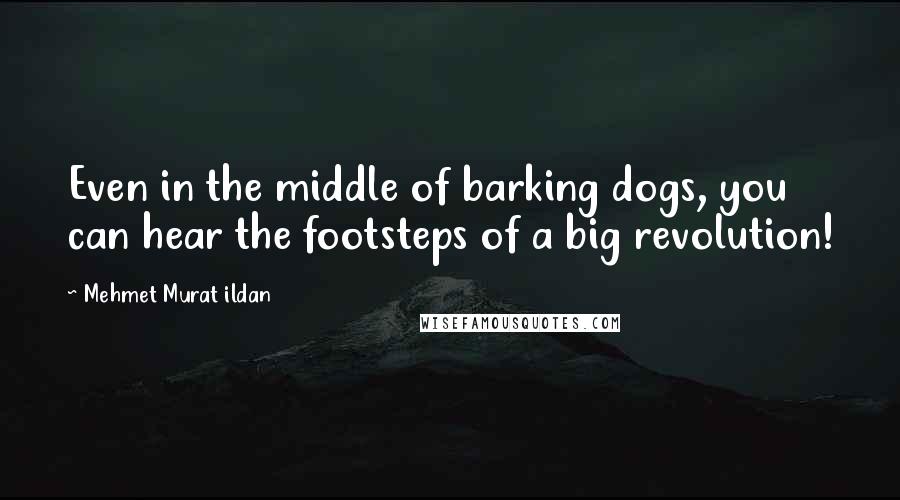 Mehmet Murat Ildan Quotes: Even in the middle of barking dogs, you can hear the footsteps of a big revolution!