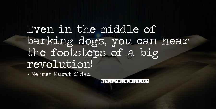 Mehmet Murat Ildan Quotes: Even in the middle of barking dogs, you can hear the footsteps of a big revolution!