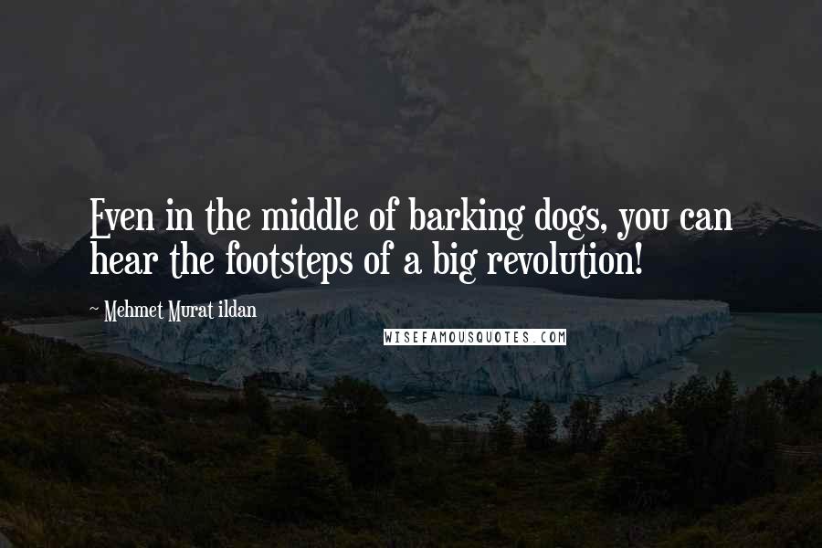 Mehmet Murat Ildan Quotes: Even in the middle of barking dogs, you can hear the footsteps of a big revolution!