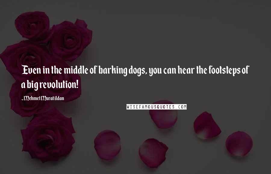 Mehmet Murat Ildan Quotes: Even in the middle of barking dogs, you can hear the footsteps of a big revolution!