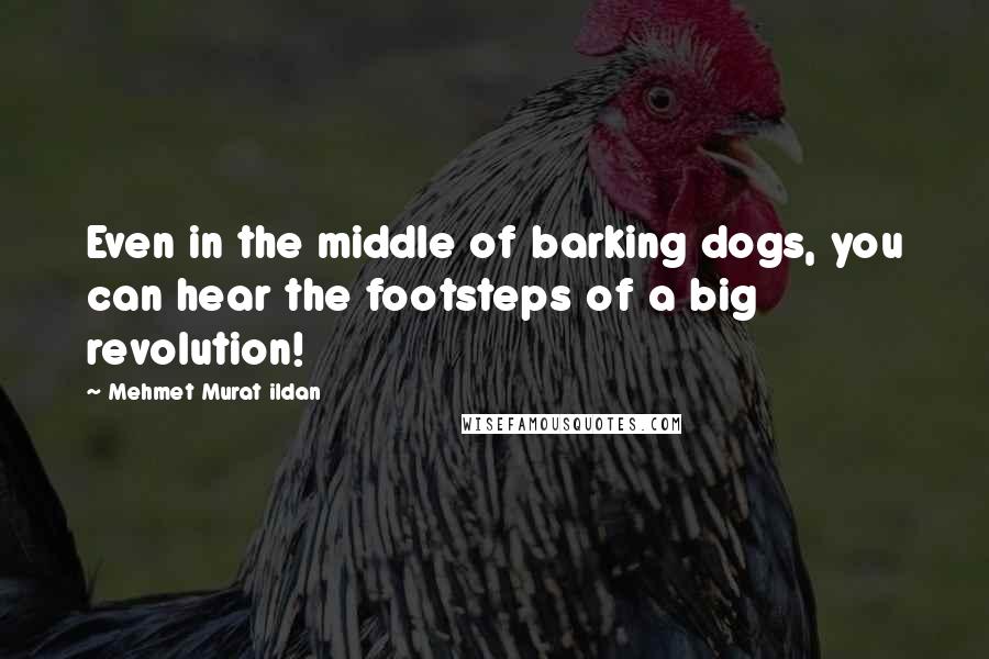 Mehmet Murat Ildan Quotes: Even in the middle of barking dogs, you can hear the footsteps of a big revolution!