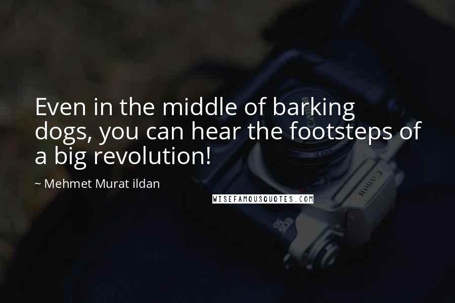 Mehmet Murat Ildan Quotes: Even in the middle of barking dogs, you can hear the footsteps of a big revolution!