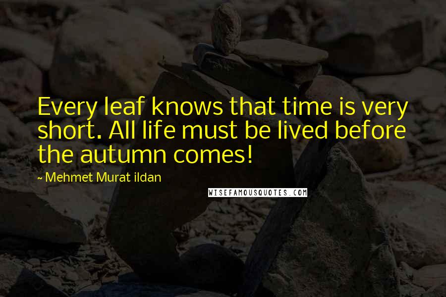 Mehmet Murat Ildan Quotes: Every leaf knows that time is very short. All life must be lived before the autumn comes!