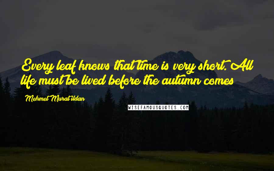 Mehmet Murat Ildan Quotes: Every leaf knows that time is very short. All life must be lived before the autumn comes!