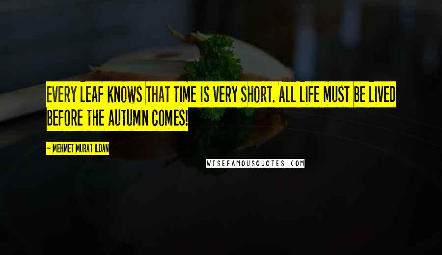 Mehmet Murat Ildan Quotes: Every leaf knows that time is very short. All life must be lived before the autumn comes!