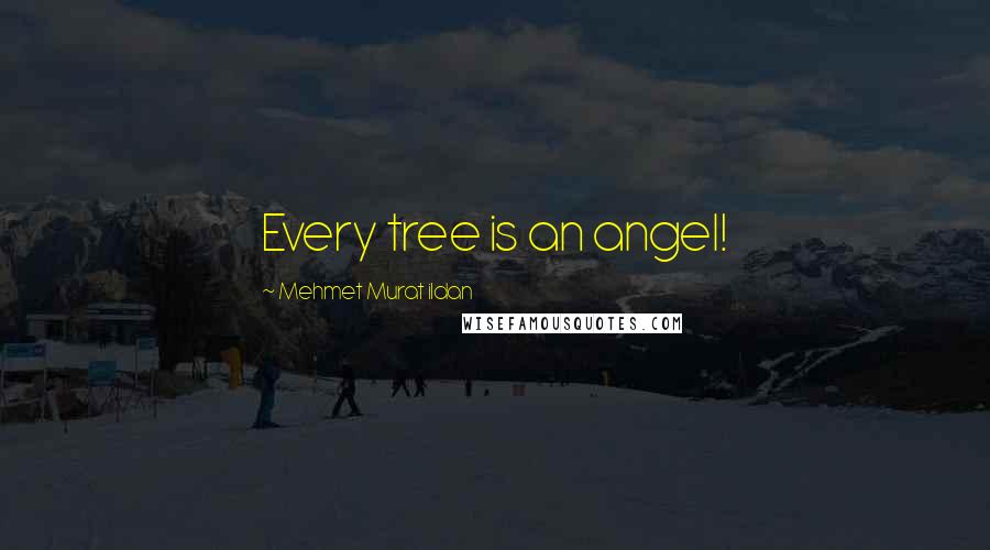 Mehmet Murat Ildan Quotes: Every tree is an angel!