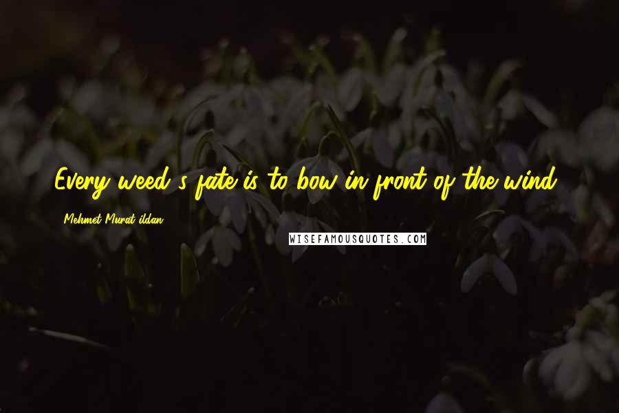 Mehmet Murat Ildan Quotes: Every weed's fate is to bow in front of the wind!