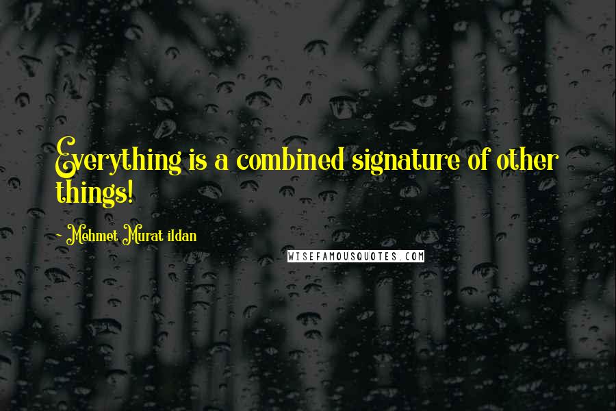 Mehmet Murat Ildan Quotes: Everything is a combined signature of other things!