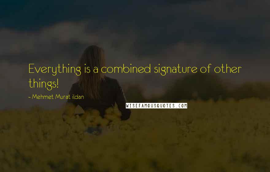 Mehmet Murat Ildan Quotes: Everything is a combined signature of other things!