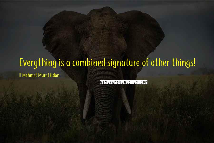 Mehmet Murat Ildan Quotes: Everything is a combined signature of other things!