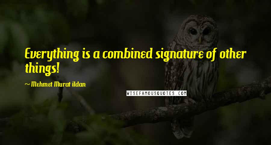 Mehmet Murat Ildan Quotes: Everything is a combined signature of other things!