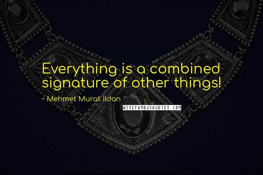 Mehmet Murat Ildan Quotes: Everything is a combined signature of other things!