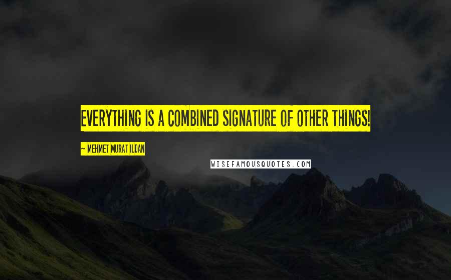 Mehmet Murat Ildan Quotes: Everything is a combined signature of other things!