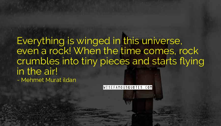 Mehmet Murat Ildan Quotes: Everything is winged in this universe, even a rock! When the time comes, rock crumbles into tiny pieces and starts flying in the air!