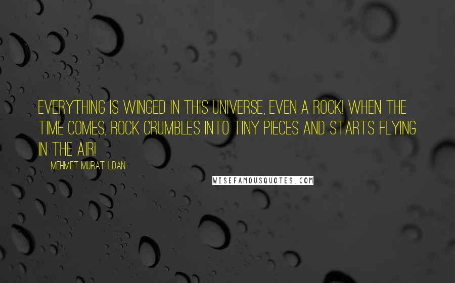 Mehmet Murat Ildan Quotes: Everything is winged in this universe, even a rock! When the time comes, rock crumbles into tiny pieces and starts flying in the air!