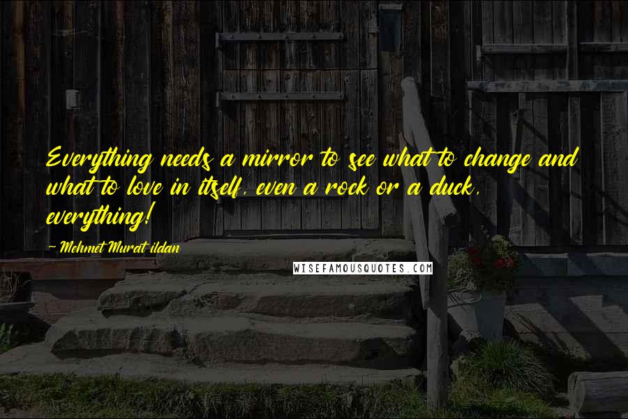 Mehmet Murat Ildan Quotes: Everything needs a mirror to see what to change and what to love in itself, even a rock or a duck, everything!