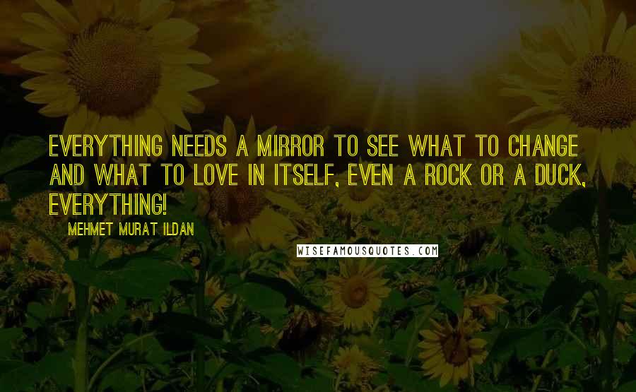 Mehmet Murat Ildan Quotes: Everything needs a mirror to see what to change and what to love in itself, even a rock or a duck, everything!