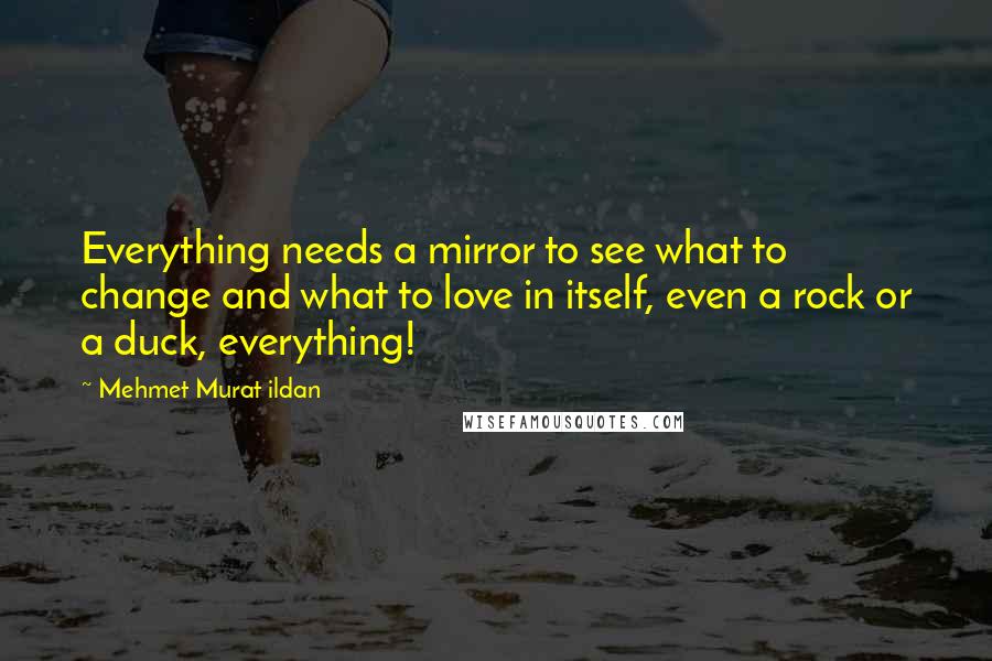 Mehmet Murat Ildan Quotes: Everything needs a mirror to see what to change and what to love in itself, even a rock or a duck, everything!