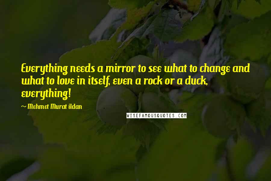 Mehmet Murat Ildan Quotes: Everything needs a mirror to see what to change and what to love in itself, even a rock or a duck, everything!