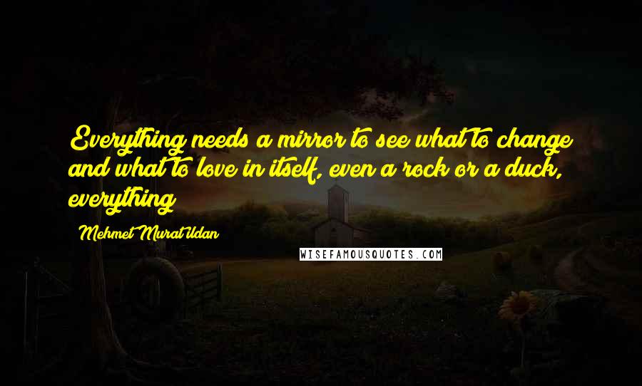 Mehmet Murat Ildan Quotes: Everything needs a mirror to see what to change and what to love in itself, even a rock or a duck, everything!