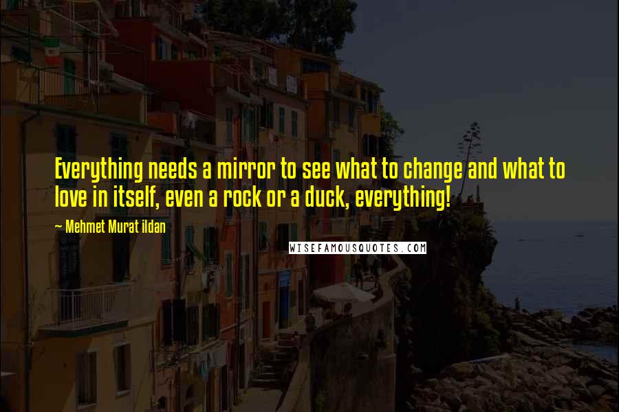 Mehmet Murat Ildan Quotes: Everything needs a mirror to see what to change and what to love in itself, even a rock or a duck, everything!