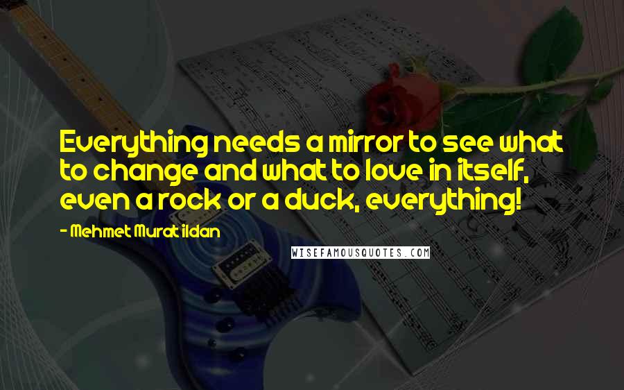 Mehmet Murat Ildan Quotes: Everything needs a mirror to see what to change and what to love in itself, even a rock or a duck, everything!