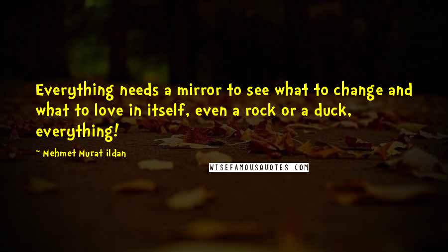 Mehmet Murat Ildan Quotes: Everything needs a mirror to see what to change and what to love in itself, even a rock or a duck, everything!