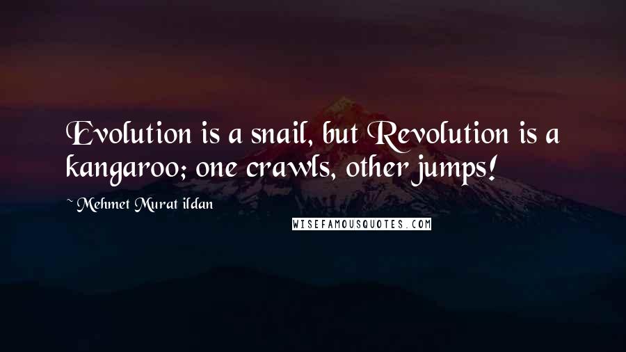 Mehmet Murat Ildan Quotes: Evolution is a snail, but Revolution is a kangaroo; one crawls, other jumps!