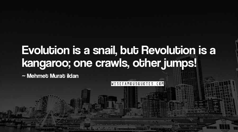 Mehmet Murat Ildan Quotes: Evolution is a snail, but Revolution is a kangaroo; one crawls, other jumps!