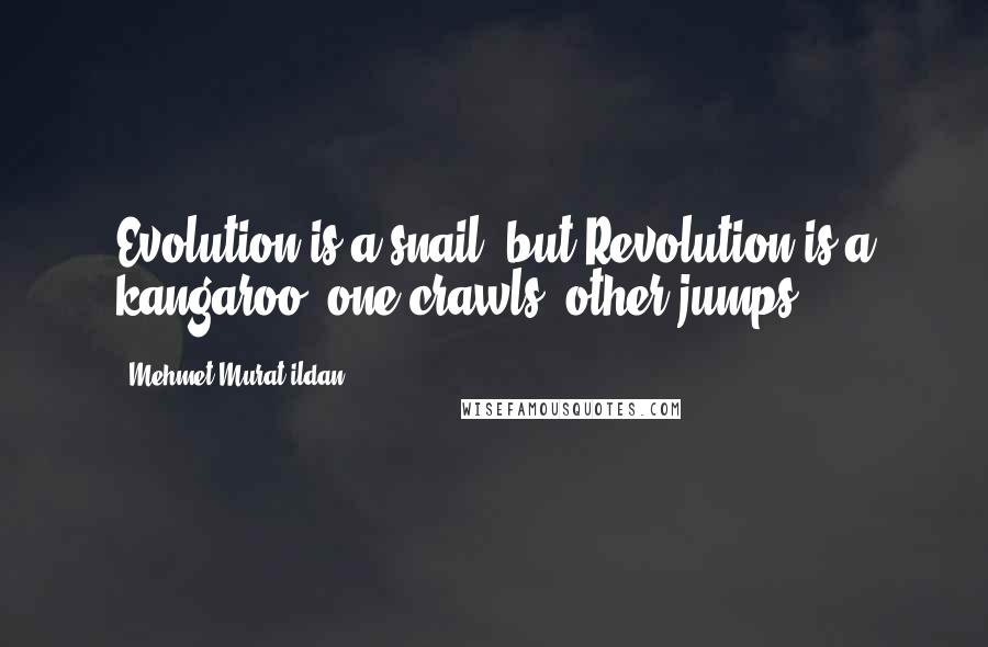 Mehmet Murat Ildan Quotes: Evolution is a snail, but Revolution is a kangaroo; one crawls, other jumps!