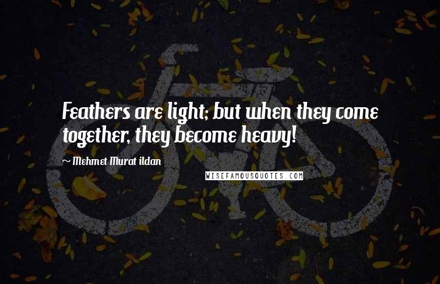 Mehmet Murat Ildan Quotes: Feathers are light; but when they come together, they become heavy!