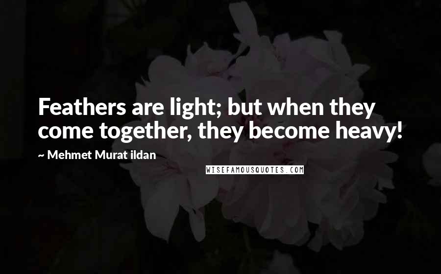 Mehmet Murat Ildan Quotes: Feathers are light; but when they come together, they become heavy!