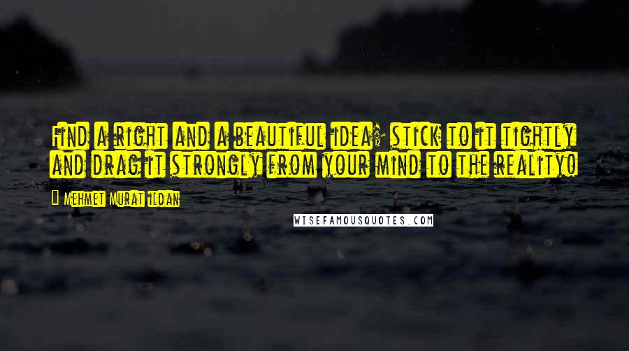 Mehmet Murat Ildan Quotes: Find a right and a beautiful idea; stick to it tightly and drag it strongly from your mind to the reality!