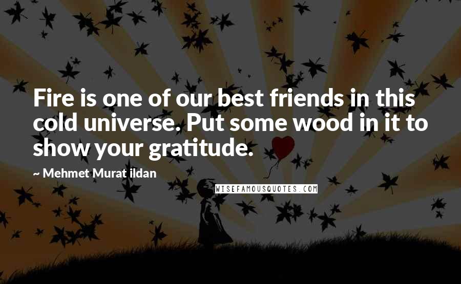 Mehmet Murat Ildan Quotes: Fire is one of our best friends in this cold universe. Put some wood in it to show your gratitude.