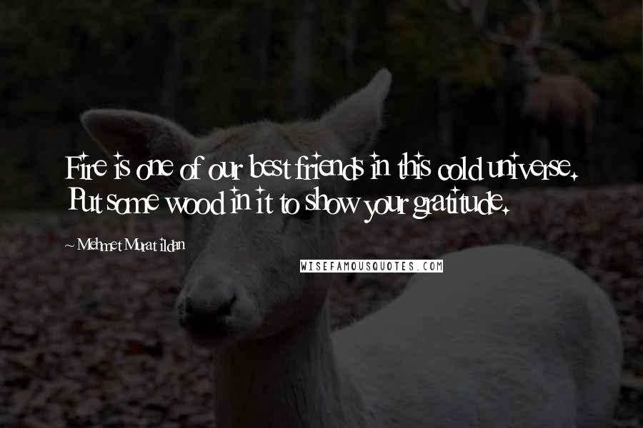 Mehmet Murat Ildan Quotes: Fire is one of our best friends in this cold universe. Put some wood in it to show your gratitude.