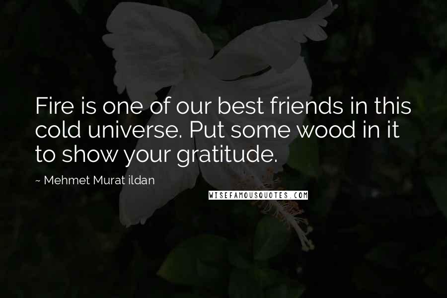 Mehmet Murat Ildan Quotes: Fire is one of our best friends in this cold universe. Put some wood in it to show your gratitude.