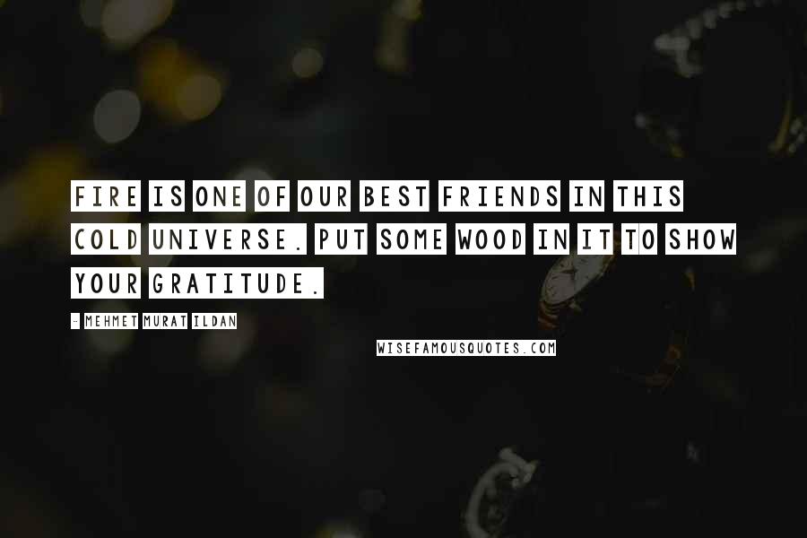Mehmet Murat Ildan Quotes: Fire is one of our best friends in this cold universe. Put some wood in it to show your gratitude.