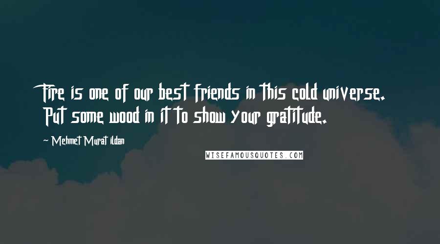 Mehmet Murat Ildan Quotes: Fire is one of our best friends in this cold universe. Put some wood in it to show your gratitude.