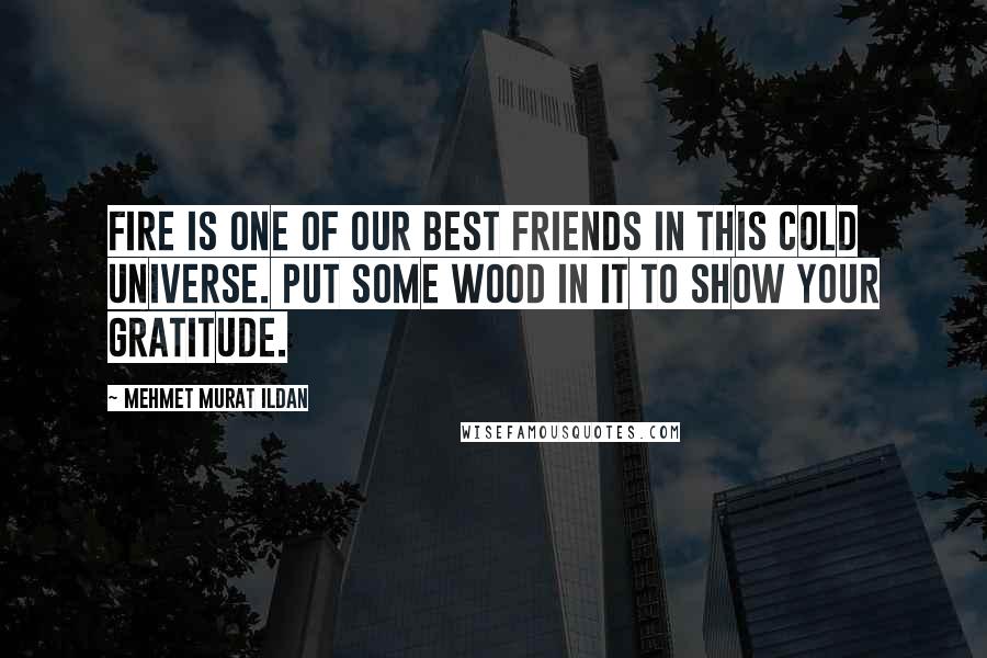 Mehmet Murat Ildan Quotes: Fire is one of our best friends in this cold universe. Put some wood in it to show your gratitude.